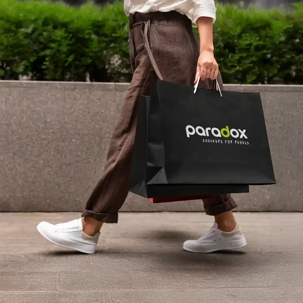 Paradox project preview